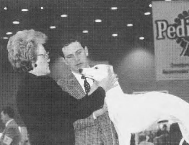 International Kennel Club of Chicago 1998